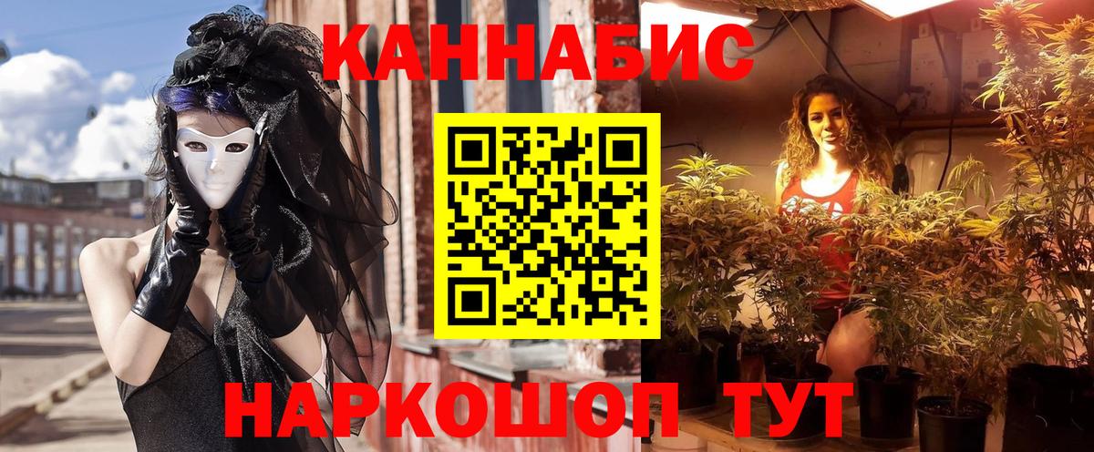 Бошки Шишки ГИДРОПОН  МАРИХУАНА Amnesia  Заводоуковск  Шишки марихуана тримм  Вход с VPN  Каннабис индика 